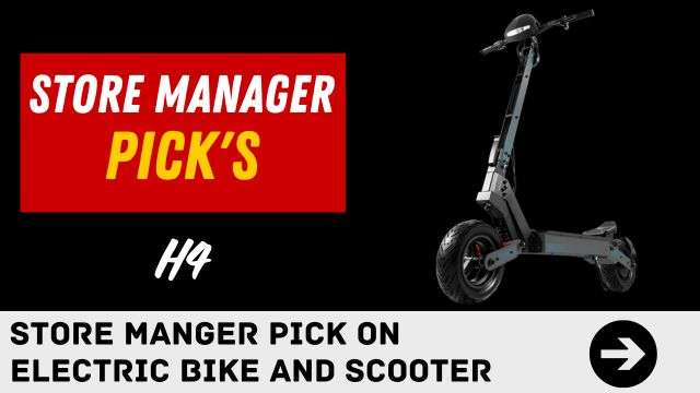 Honeywhale Electric Scooter H4