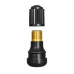 T4-A/T4-B/T8 valve