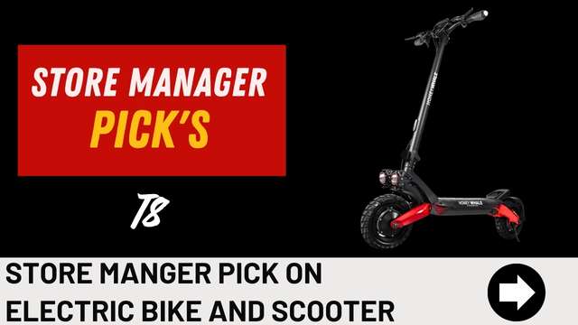 Honeywhale electric scooter range